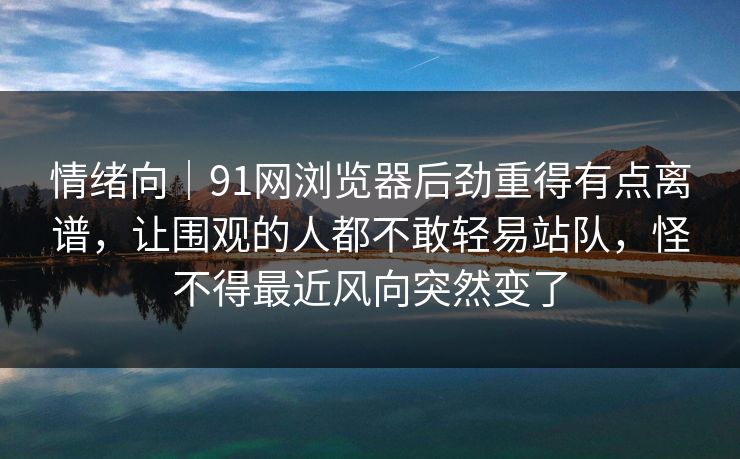 情绪向｜91网浏览器后劲重得有点离谱，让围观的人都不敢轻易站队，怪不得最近风向突然变了