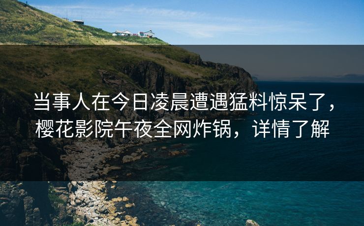 当事人在今日凌晨遭遇猛料惊呆了，樱花影院午夜全网炸锅，详情了解